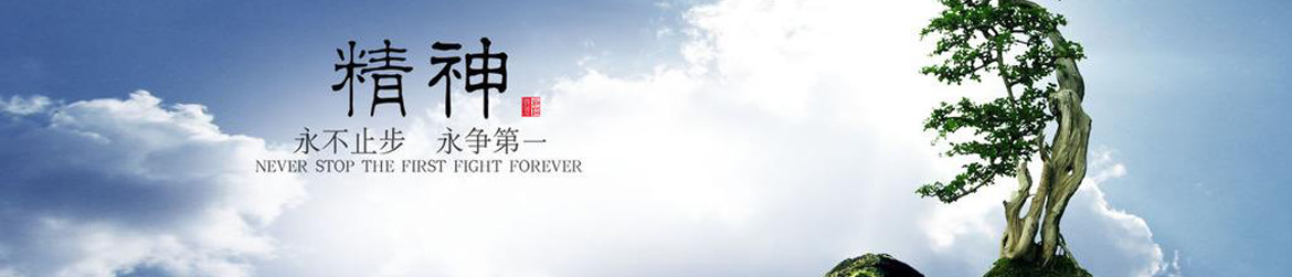 企業(yè)實力